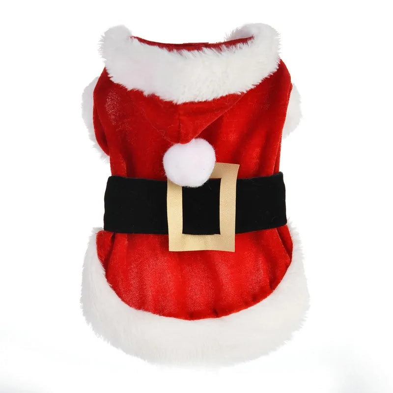 Santa Pet Outfit