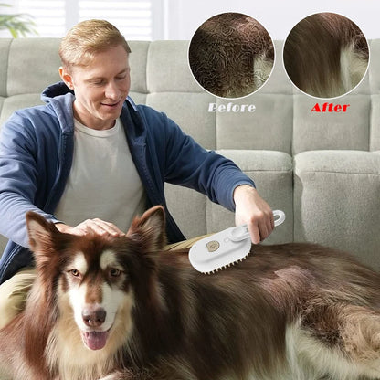 Pet Steam Brush Grooming