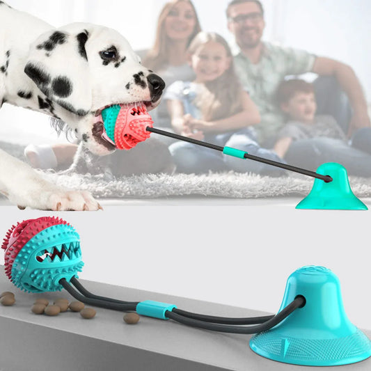 Interactive Dog Ball Chew Toy